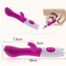 Brinquedos do sexo do massager do vibrador do G-Ponto para a mulher (IJ-DV0011)